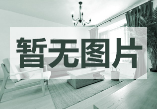 容金国际